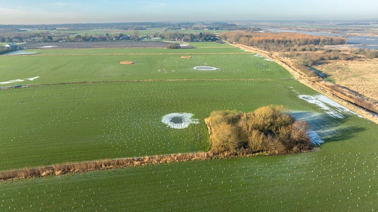 A wide-shot picture of the land at Lunt, which is green fields with hundreds of while tree guards visible from an aerial shot